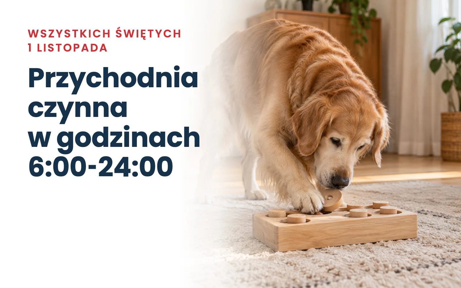 Wszystkich Świętych - godziny otwarcia